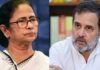 अभिषेक बनर्जी की तबीयत पर राहुल गांधी की चिंता, ममता से की बातचीत