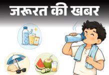 नौतपा में लू और तेज धूप से बचने के लिए बरतें खास सावधानी