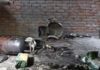 डीग हादसा: घरेलू LPG सिलेंडर फटा, गांव में हड़कंप