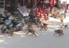 व्यापारियों ने प्रशासन को सौंपा ज्ञापन, तुरंत कार्रवाई की मांग