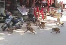 व्यापारियों ने प्रशासन को सौंपा ज्ञापन, तुरंत कार्रवाई की मांग