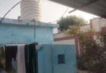 मुरैना में पशु चिकित्सा सुविधा ठप, भवन बना लोगों की जरूरतों का साधन
