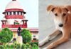 सार्वजनिक जगहों से हटाए जाएंगे कुत्ते? सुप्रीम कोर्ट के फैसले ने बढ़ाई चर्चा