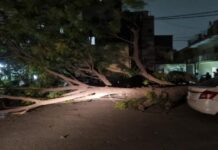 UP में आंधी-तूफान से 94 लोगों की मौत: 80kmph हवा में युवक उड़ा, राजस्थान में रेड अलर्ट