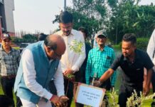 पर्यावरण दिवस पर मार्कफेड में वृक्षारोपण