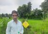 नैनो डीएपी एवं यूरिया प्लस के उपयोग से खेती की लागत में आई कमी – किसान साव