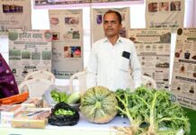 जैविक सब्जी के उत्पादन और एप्पल की खेती से बनाई नई पहचान