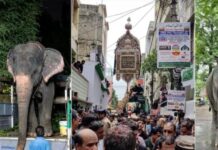 400 साल पुरानी परंपरा! जानिए मोहर्रम में हाथी पर क्यों निकाला जाता है बीबी का अलम