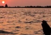 सूर्य देव की कृपा पाने का सुनहरा मौका, मिथुन संक्रांति पर जरूर करें ये दान चमक जाएगी किस्मत, धन-समृद्धि से भर जाएगा जीवन