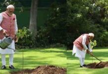 PM मोदी बोले- पर्यावरण संरक्षण के संकल्प को और मजबूत करने का समय