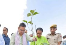विश्व पर्यावरण दिवस— मुख्यमंत्री ने विश्व वानिकी वृक्ष उद्यान में पौधारोपण कर दिया पर्यावरण संरक्षण का संदेश