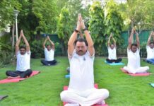 योग को दैनिक जीवन का अभिन्न हिस्सा बनाएं : उप मुख्यमंत्री एवं आयुष मंत्री