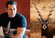 सलमान खान का फूटा गुस्सा: ‘काला हिरण’ नाम से फिल्म बनाने वाले मेकर्स को कानूनी नोटिस, कोर्ट घसीटने की दी चेतावनी