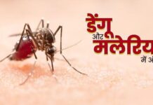 डेंगू और मलेरिया को हल्के में न लें