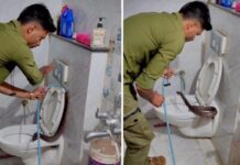 96 घंटे तक बाथरूम में डटी रही कोबरा नागिन, रेस्क्यू के बाद मिली राहत