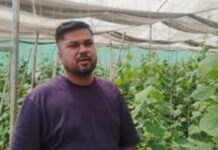 नौकरी को कहा अलविदा, खेती को बनाया मुनाफे का धंधा: जबलपुर के शिवेंद्र की नेट फार्मिंग की सफलता ने सबको चौंकाया