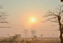 गर्मी और उमस से बेहाल प्रदेश, 6 जिलों में आंधी-बारिश तो 2 में हीटवेव का अलर्ट