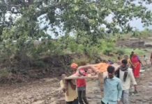 सड़क और पुल के अभाव में दर्दनाक हालात, खटिया पर नदी पार करते समय महिला ने दिया बच्चे को जन्म