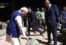 सेशेल्स में PM मोदी का भव्य स्वागत, राष्ट्रपति पैट्रिक के साथ पिया नारियल पानी, कछुओं को खिलाईं पत्तियां