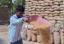 धान घोटाले पर बड़ा एक्शन, 2.17 करोड़ की धान गायब होने पर कानूनी कार्रवाई की तैयारी