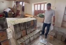 नकली घी के कारोबार का भंडाफोड़, 900 किलो पाम ऑयल जब्त