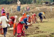 ग्रामीण भारत में नई पहल: 100+ एरिया ऑफिसर तैनात करेगी सरकार