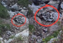 हिमाचल के चुराह में भीषण हादसा, कार खाई में समाई, चार लोगों की जान गई