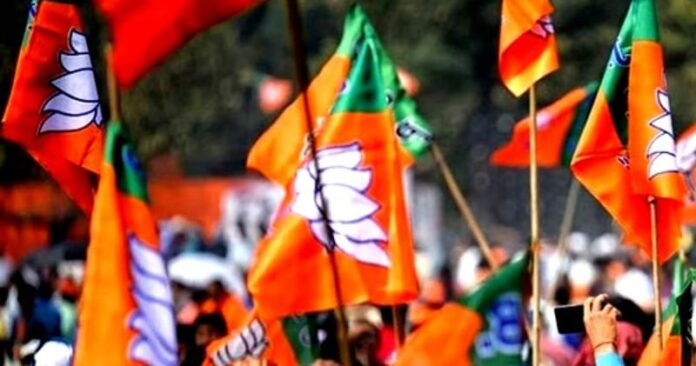 thenewsminute_2023-11_35b63526-4ab6-4263-8439-7b1833b65936_BJP_flag_Ians_111123-1.jpg