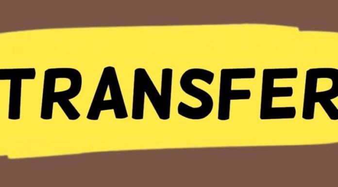 transfer_2.jpg