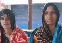 खूंखार सियार का आतंक! घर में घुसकर सात लोगों को काटा, मची अफरा-तफरी