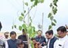 कृषि में छत्तीसगढ़ का नया अध्याय बनाया धमतरी जिले ने