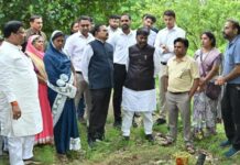 धमतरी जिले में 200 एकड़ से बढ़ाकर 600 एकड़ तक औषधीय खेती के विस्तार का लक्ष्य