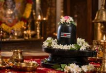 सावन सोमवार व्रत रखने से पहले जान लें खान-पान के नियम, जानें किन चीजों का खाना फायदेमंद और किन चीजों से बचें?