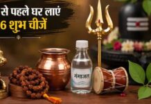 क्या सावन में ये 6 चीजें सच में खोल देते हैं किस्मत के बंद दरवाजे? घर में लाना कितना लाभकारी, ज्योतिष ने बताया