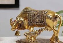 कामधेनु गाय ईशान कोण में रखें