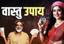 इस प्रकार मिलेगी नौकरी और कारोबार में सफलता