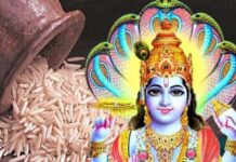एकादशी का महत्व और चावल का सेवन न करने के कारण