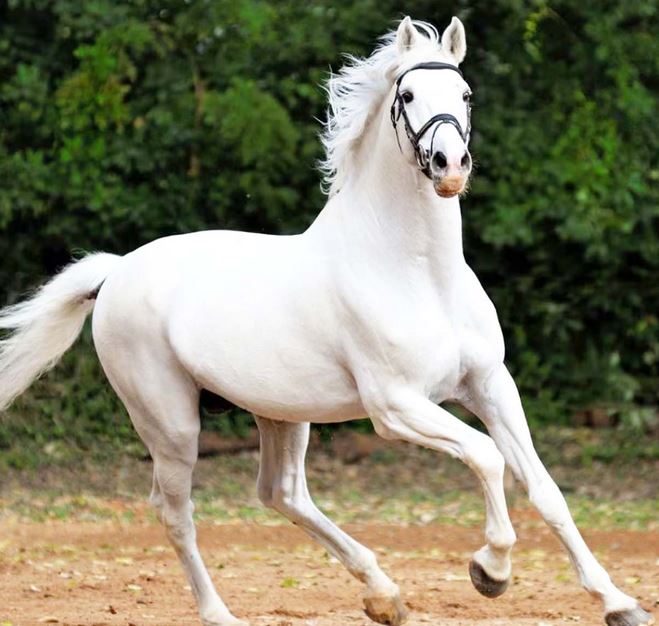 5-8.jpg