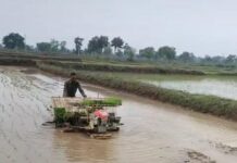 किसान अब उन्नत तकनीक की ओर अग्रसर, पैडी ट्रांसप्लांटर विधि से धान रोपाई