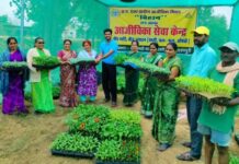 आईएफसी नर्सरी बनी किसानों की उम्मीद