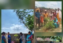 सुपोषण और स्वस्थ समाज की दिशा में मुनगा पौधरोपण अभियान बना जनआंदोलन