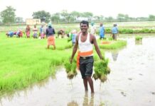 गौरेला पेन्ड्रा मरवाही जिले ने हासिल किया पीएम किसान सम्मान निधि योजना का 80 प्रतिशत लक्ष्य