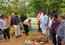 जैव विविधता पार्क कांकेर के माकड़ी में औषधिय पौधों का रोपण- पारंपरिक चिकित्सा को बढ़ावा देने की नई पहल