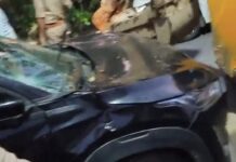 पीहर से लौट रही महिला की सड़क हादसे में गई जान, कार ने मारी टक्कर