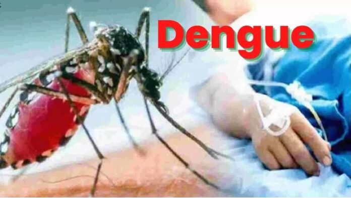Dengue.jpg