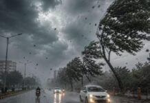 मध्य प्रदेश में फिर मेहरबान होगा मानसून, तीन दिन तक बारिश का दौर; जानें ताजा अपडेट