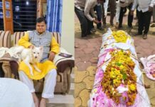 वफादारी की भावुक कहानी, मालिक की मौत के बाद डुग्गू ने भी दुनिया को कहा अलविदा