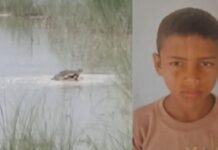 दर्दनाक हादसा: मगरमच्छ के हमले में मासूम की मौत, इलाके में मचा हड़कंप