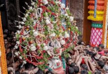 तेज बारिश का असर, भगवान जगन्नाथ को नहीं पहनाया गया मुकुट, रथयात्रा शुरू होने को तैयार