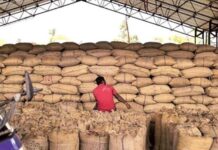 अनाज की बर्बादी का बड़ा खुलासा, सरकारी भंडारों में करोड़ों का खाद्यान्न हुआ खराब